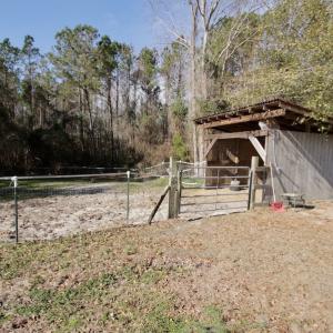 Photo #21 of 200 Lewis Farm Road, New Bern, NC 20.0 acres