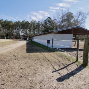 Photo #22 of 200 Lewis Farm Road, New Bern, NC 20.0 acres