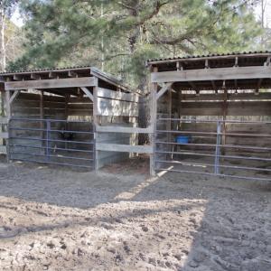 Photo #25 of 200 Lewis Farm Road, New Bern, NC 20.0 acres
