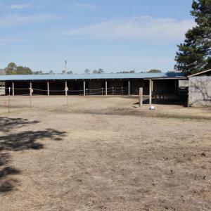 Photo #28 of 200 Lewis Farm Road, New Bern, NC 20.0 acres