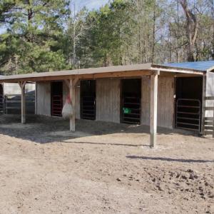 Photo #29 of 200 Lewis Farm Road, New Bern, NC 20.0 acres