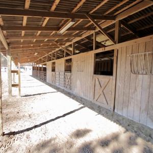 Photo #31 of 200 Lewis Farm Road, New Bern, NC 20.0 acres