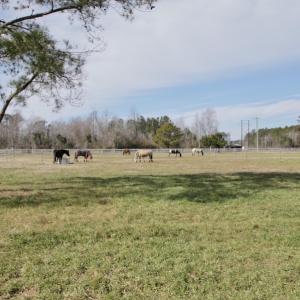 Photo #38 of 200 Lewis Farm Road, New Bern, NC 20.0 acres