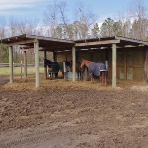 Photo #55 of 200 Lewis Farm Road, New Bern, NC 20.0 acres