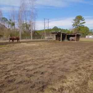Photo #56 of 200 Lewis Farm Road, New Bern, NC 20.0 acres