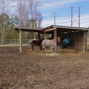 Photo #57 of 200 Lewis Farm Road, New Bern, NC 20.0 acres