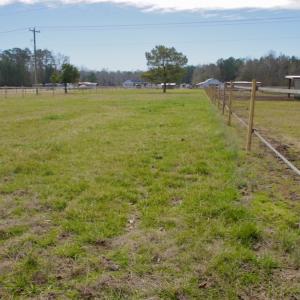 Photo #59 of 200 Lewis Farm Road, New Bern, NC 20.0 acres