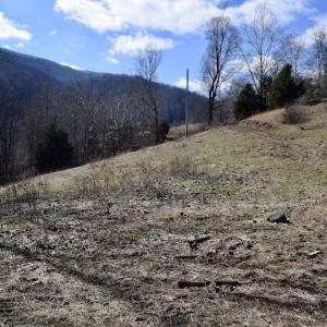 Photo #26 of SOLD property in 6903 Wolf Creek Hwy, Narrows, VA 107.2 acres