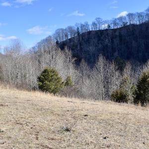 Photo #28 of SOLD property in 6903 Wolf Creek Hwy, Narrows, VA 107.2 acres