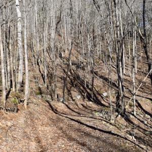 Photo #31 of SOLD property in 6903 Wolf Creek Hwy, Narrows, VA 107.2 acres