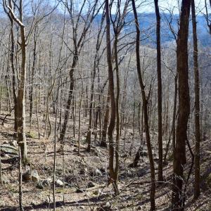 Photo #32 of SOLD property in 6903 Wolf Creek Hwy, Narrows, VA 107.2 acres