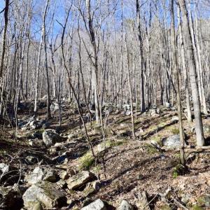 Photo #33 of SOLD property in 6903 Wolf Creek Hwy, Narrows, VA 107.2 acres