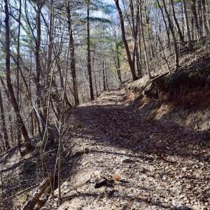 Photo #34 of SOLD property in 6903 Wolf Creek Hwy, Narrows, VA 107.2 acres