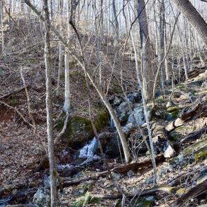 Photo #35 of SOLD property in 6903 Wolf Creek Hwy, Narrows, VA 107.2 acres