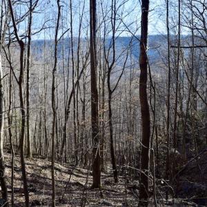 Photo #36 of SOLD property in 6903 Wolf Creek Hwy, Narrows, VA 107.2 acres