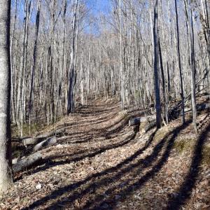 Photo #37 of SOLD property in 6903 Wolf Creek Hwy, Narrows, VA 107.2 acres