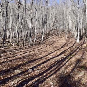 Photo #40 of SOLD property in 6903 Wolf Creek Hwy, Narrows, VA 107.2 acres