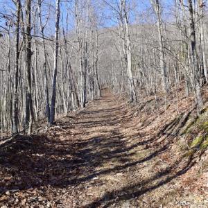 Photo #42 of SOLD property in 6903 Wolf Creek Hwy, Narrows, VA 107.2 acres