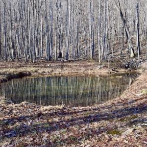 Photo #44 of SOLD property in 6903 Wolf Creek Hwy, Narrows, VA 107.2 acres
