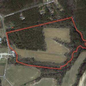 Photo #1 of SOLD property in Off Don Lee Road, Arapahoe, NC 48.9 acres