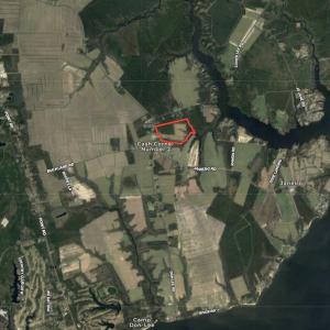 Photo #30 of SOLD property in Off Don Lee Road, Arapahoe, NC 48.9 acres