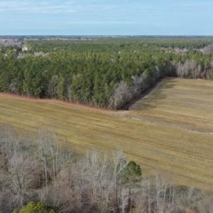 Photo #3 of SOLD property in Off Don Lee Road, Arapahoe, NC 48.9 acres