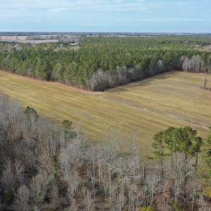 Photo #4 of SOLD property in Off Don Lee Road, Arapahoe, NC 48.9 acres