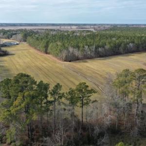 Photo #5 of SOLD property in Off Don Lee Road, Arapahoe, NC 48.9 acres
