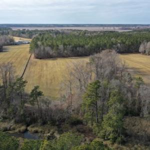 Photo #6 of SOLD property in Off Don Lee Road, Arapahoe, NC 48.9 acres