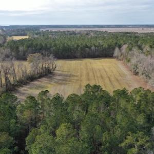 Photo #7 of SOLD property in Off Don Lee Road, Arapahoe, NC 48.9 acres