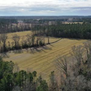 Photo #8 of SOLD property in Off Don Lee Road, Arapahoe, NC 48.9 acres