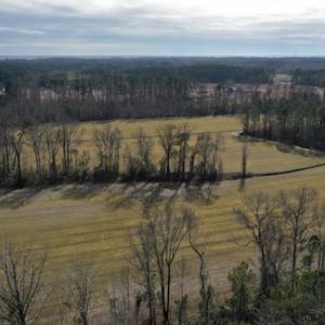 Photo #9 of SOLD property in Off Don Lee Road, Arapahoe, NC 48.9 acres