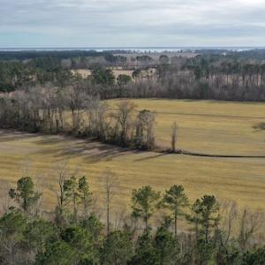 Photo #10 of SOLD property in Off Don Lee Road, Arapahoe, NC 48.9 acres