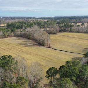 Photo #11 of SOLD property in Off Don Lee Road, Arapahoe, NC 48.9 acres