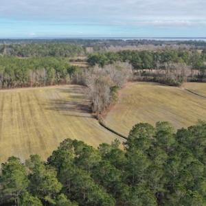Photo #12 of SOLD property in Off Don Lee Road, Arapahoe, NC 48.9 acres