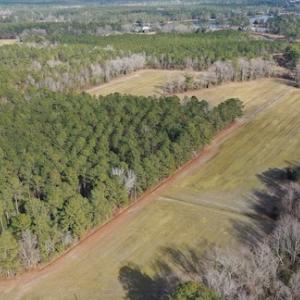 Photo #17 of SOLD property in Off Don Lee Road, Arapahoe, NC 48.9 acres
