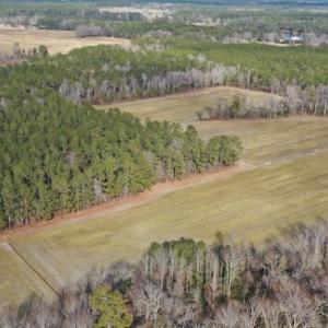 Photo #18 of SOLD property in Off Don Lee Road, Arapahoe, NC 48.9 acres