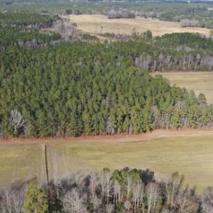 Photo #19 of SOLD property in Off Don Lee Road, Arapahoe, NC 48.9 acres