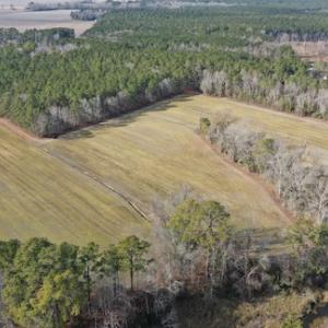 Photo #21 of SOLD property in Off Don Lee Road, Arapahoe, NC 48.9 acres