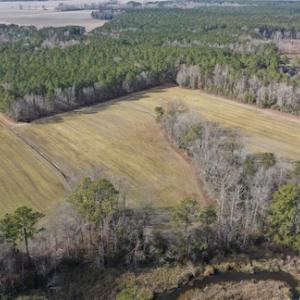 Photo #22 of SOLD property in Off Don Lee Road, Arapahoe, NC 48.9 acres