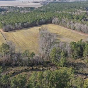 Photo #23 of SOLD property in Off Don Lee Road, Arapahoe, NC 48.9 acres