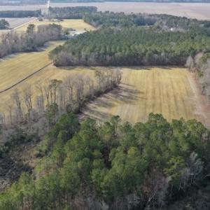 Photo #24 of SOLD property in Off Don Lee Road, Arapahoe, NC 48.9 acres
