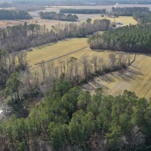 Photo #25 of SOLD property in Off Don Lee Road, Arapahoe, NC 48.9 acres