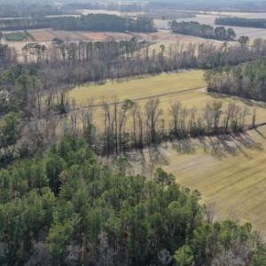 Photo #26 of SOLD property in Off Don Lee Road, Arapahoe, NC 48.9 acres