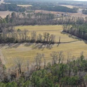 Photo #27 of SOLD property in Off Don Lee Road, Arapahoe, NC 48.9 acres