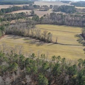 Photo #28 of SOLD property in Off Don Lee Road, Arapahoe, NC 48.9 acres