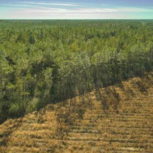 Photo #9 of SOLD property in Off Highway 211, Ash, NC 5.5 acres