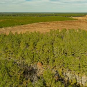 Photo #10 of SOLD property in Off Highway 211, Ash, NC 5.5 acres