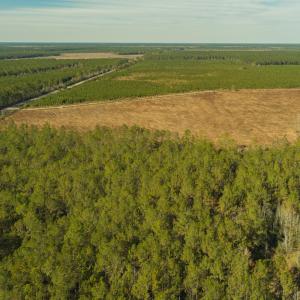 Photo #11 of SOLD property in Off Highway 211, Ash, NC 5.5 acres