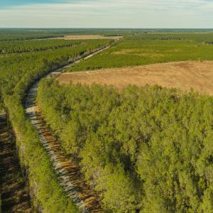 Photo #12 of SOLD property in Off Highway 211, Ash, NC 5.5 acres